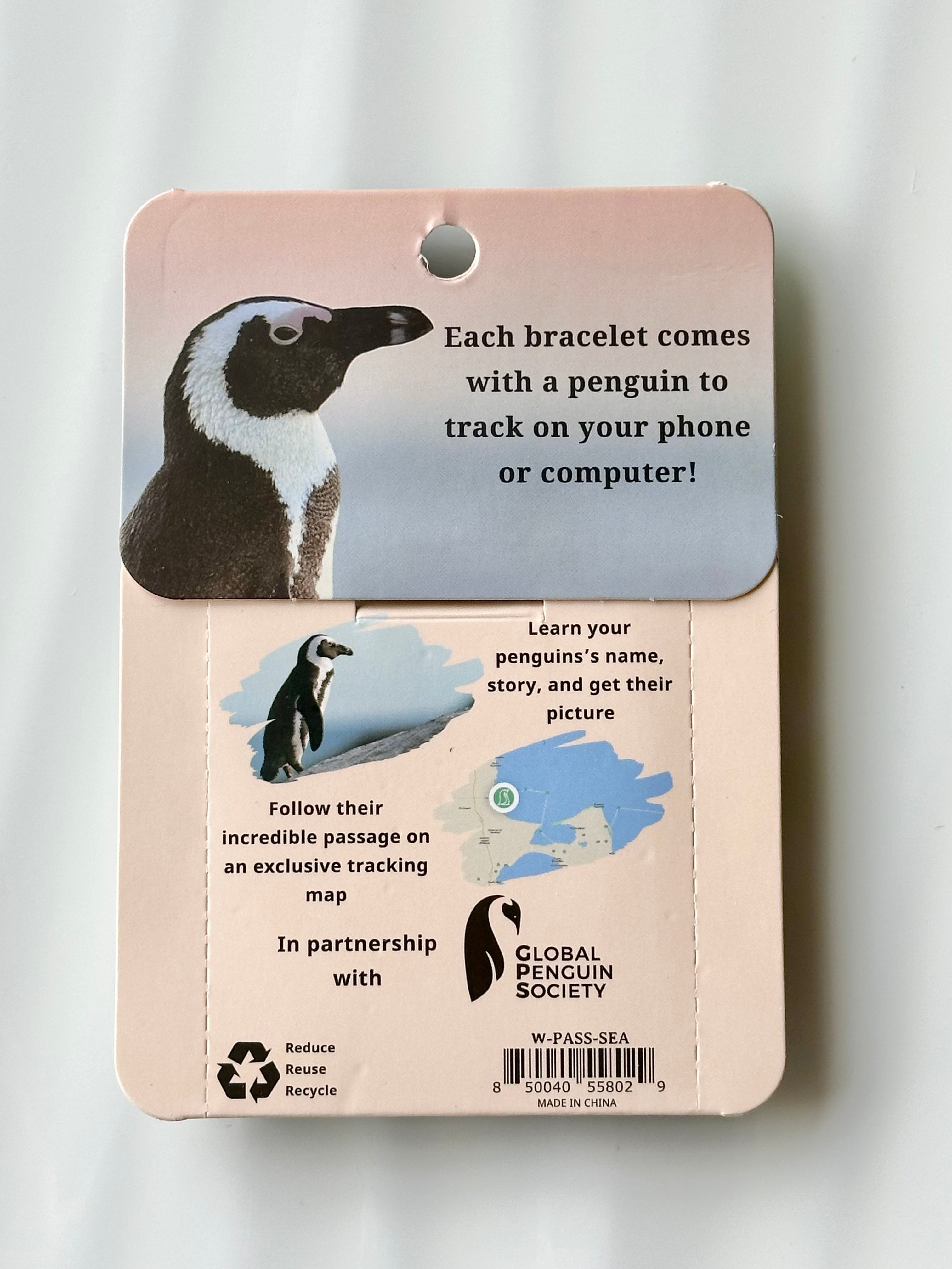 Penguin Tracker Bracelet PASSAGE-Seafoam