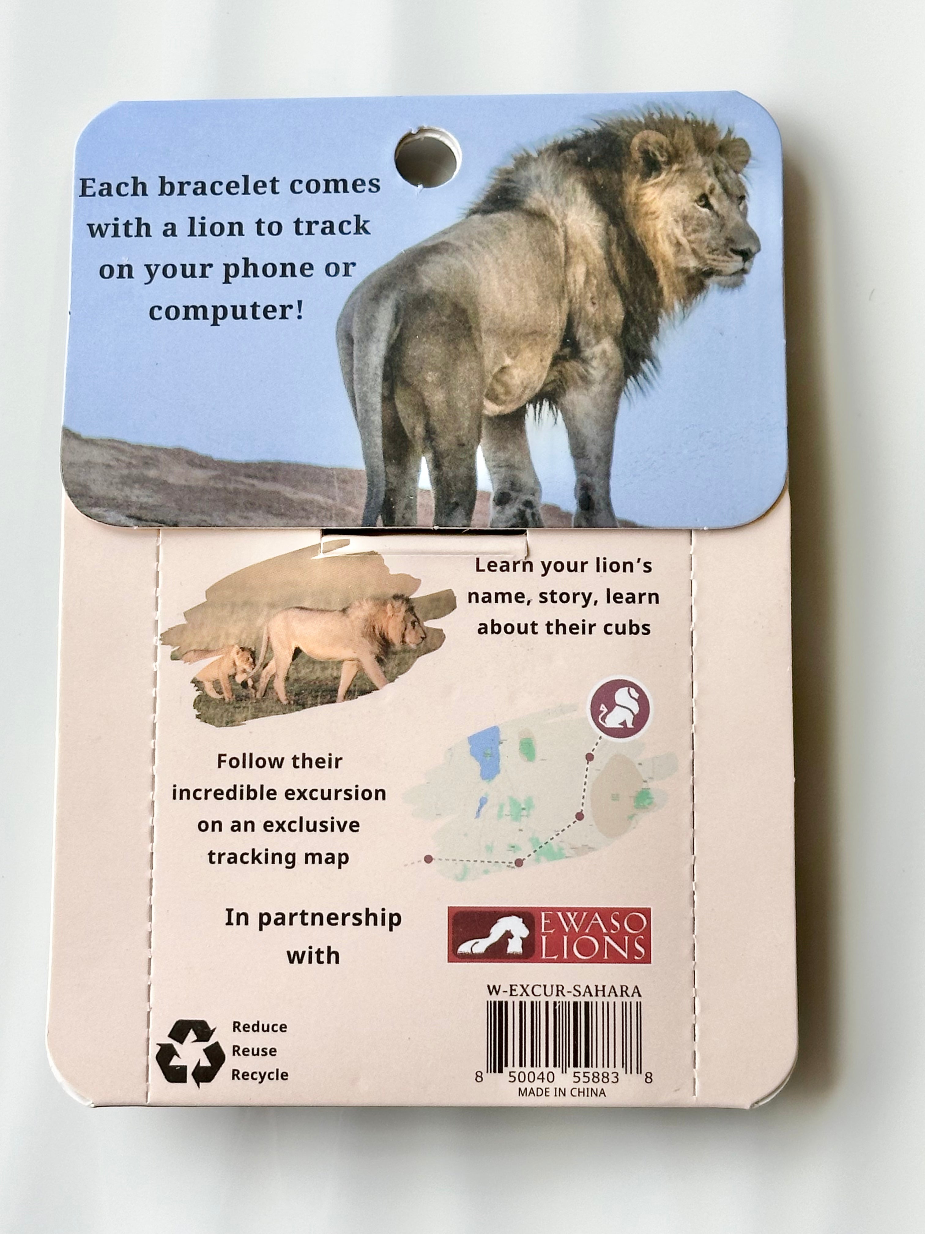 Lion Tracker Bracelet EXCURSION-Sahara Stone